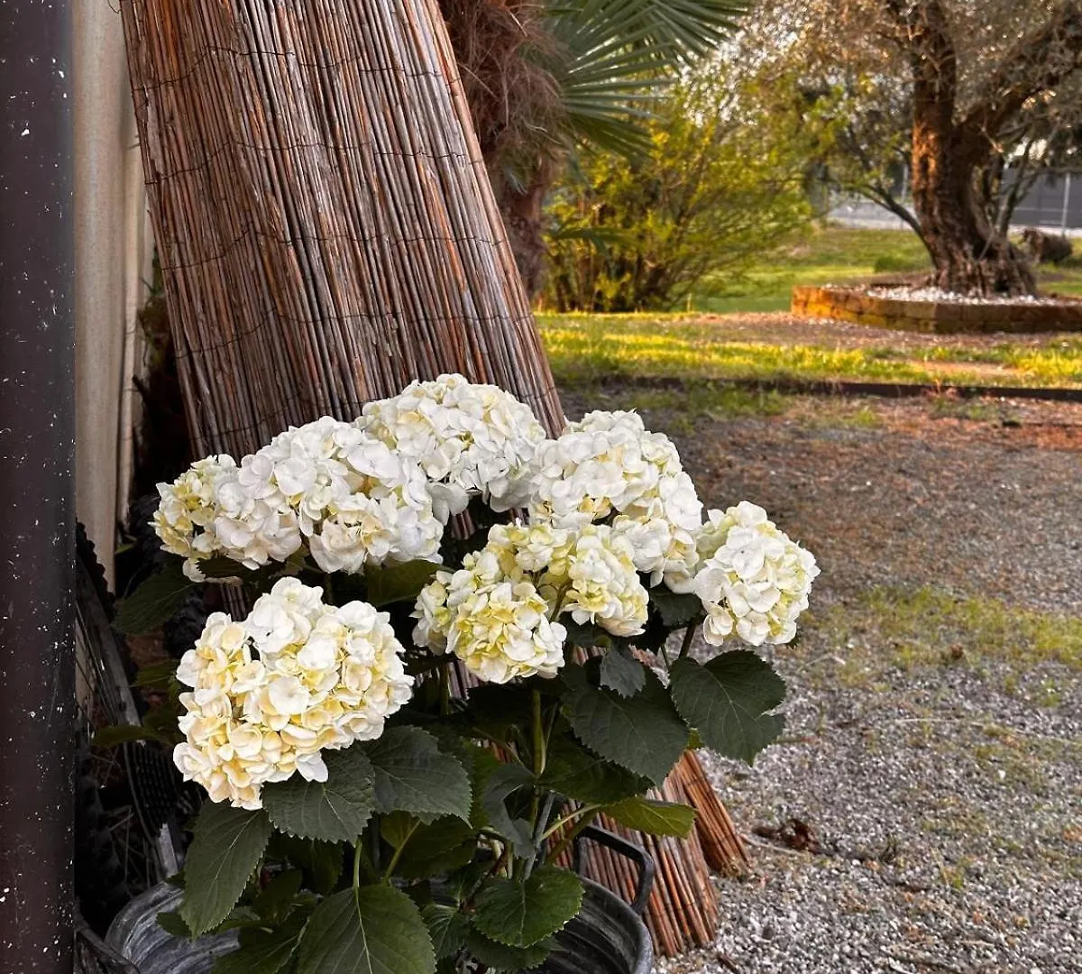 Bella Vita House Castelcucco Italy